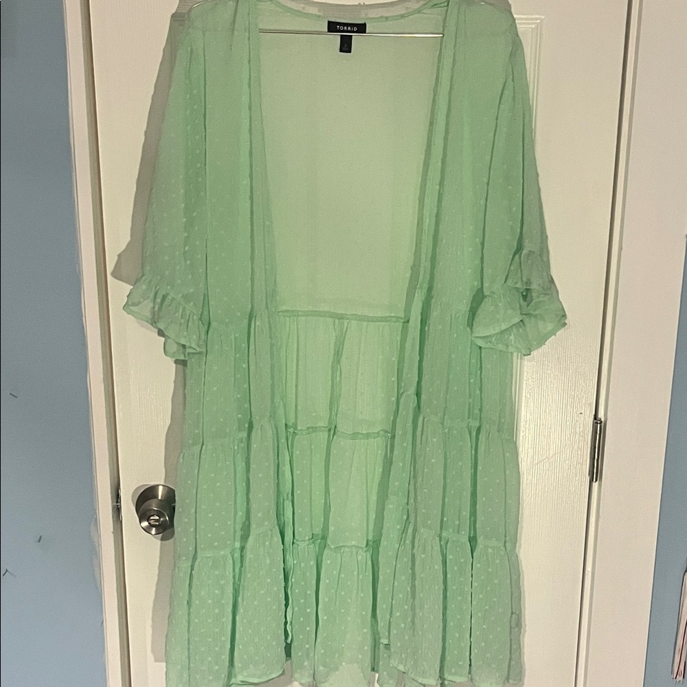Torrid Light Green Sheer Top